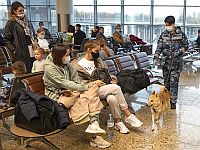 Российские СМИ: Израиль открыл границы для привитых 