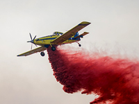 На границе Израиля и Иордании возник сильный пожар