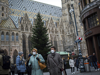 Австрия вводит тотальный локдаун, вакцинация станет обязательной