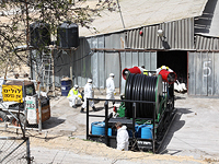 На двух фермах в Израиле выявлен