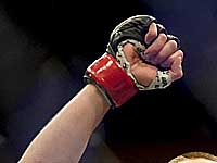 UFC. Миша Тейт проиграла  бразильянке