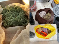 Полицейская операция в бедуинском секторе в Негеве: задержаны более 40 подозреваемых