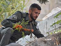 Полицейская операция на севере Израиля: задержаны 110 человек