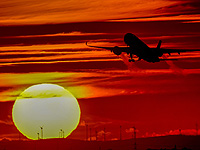 У жителя Германии, прилетевшего из Южной Африки, выявлен