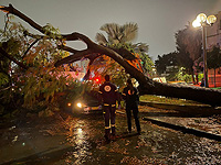 Зимняя буря в Израиле и ее последствия