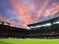 Бывшего главу академии 