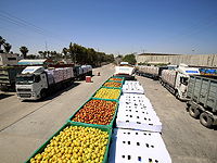 Бригадный генерал Расан Элиан предупредил жителей Газы: