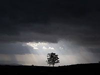 Фонд ККЛ просит Израильтян воздержаться от выездов на природу до конца недели