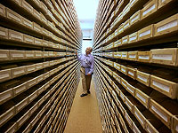 Claims Conference:  в ближайшие дни 150 тысяч переживших Холокост получат по 1200 евро