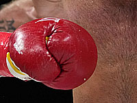 Бокс. Украино-грузинский поединок в Голливуде. Пять нокдаунов и нападение на судью