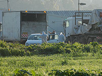 Новый очаг птичьего гриппа выявлен в Нахалале, заражены около 42 тысяч индеек