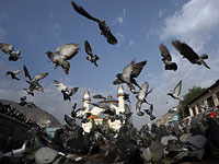 Власти Афганистана объявили о кончине