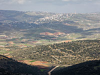 Ливанские СМИ сообщили о стрельбе со стороны Израиля. Комментарии