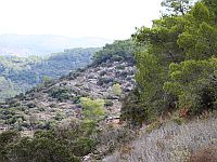 В заповеднике на горе Кармель найдена мертвая молодая женщина