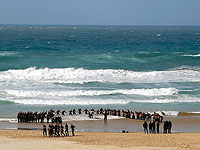 ХАМАС обнаружил  у берегов Газы израильского дельфина-диверсанта