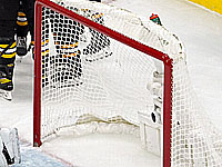 20 хоккеистов минского