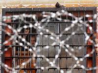 Комик Слава Комиссаренко покинул Россию из-за преследования белорусского КГБ