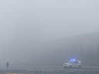 СМИ: грабители отняли у вдовы Градского около 100 миллионов рублей