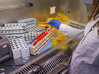 Минздрав: в связи с ростом заболеваемости задерживается обработка данных проверок из лабораторий