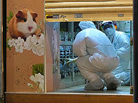 Власти Гонконга уничтожат всех хомяков в зоомагазинах из-за выявления коронавируса