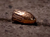 Стрельба в Гейдельбергском университете в Германии, есть пострадавшие