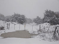 На севере Израиля продолжается снегопад