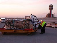 Аэропорт Багдада подвергся ракетной атаке, поврежден самолет