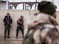 СДС: В Хасаке ликвидированы 246 боевиков 