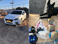 В Хевроне задержан подозреваемый, у которого нашли угнанный автомобиль, оружие и наркотики