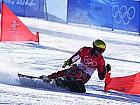 Олимпиада. Параллельный гигантский слалом. Победил австриец. Россиянин Вик Уайлд на третьем месте