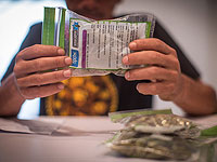 Подготовлена поправка к законодательству о декриминализации употребления марихуаны