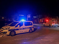 Полиция насильственно удаляет правых активистов из дома в Шейх Джарахе