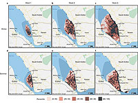 ООН: из танкера, угрожающего катастрофой Красному морю, будет выкачана нефть