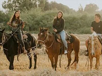 Молодежная деревня 