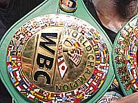 Всемирный боксерский совет не будет проводить поединки в России