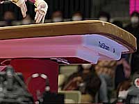 Спортивная гимнастика. Этап Кубка мира в Коттбусе. Офир Нетцер завоевала серебряную медаль