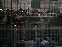 Данные ООН: за неделю войны Украину покинули около 836 тысяч беженцев