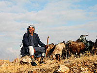 Почти половина иорданцев считают главной угрозой Израиль