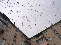 В зоне боевых действий в Украине погибли трое журналистов, десятки получили ранения