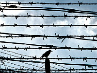 По требованию Генпрокуратуры РФ в России заблокирован доступ к израильским сайтам 9tv.co.il и Vesty.co.il