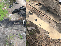 Разрешено к публикации: год назад ЦАХАЛ сбил два иранских БПЛА