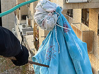 Провокация на Пурим: в религиозном квартале Бейт-Шемеша