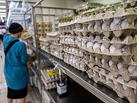 Миздрав продлил срок продажи импортных яиц, но сократил срок потребления