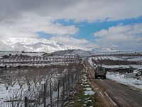 Рекордные мартовские холода в Израиле: снегопад возможен не только в горах на севере, но и в центре