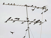 Израильская MTI Wireless Edge Ltd уходит с российского рынка