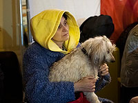 Минсельхоз предоставит вывезенным из Украины и России домашним животным 