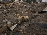 CNN: вопреки заверениям России бои в пригородах Киева продолжаются