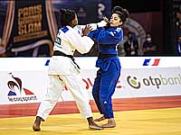 Дзюдо. Турнир