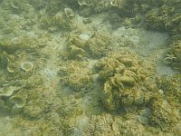 Пляжи израильского побережья Средиземного моря загрязнены, купание может иметь неприятные последствия