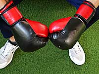 Бокс. Израильтянин Давид Алавердян одержал победу в США